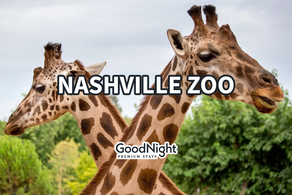 A family-friendly outdoor scene at the Nashville Zoo featuring giraffes surrounded by lush greenery. The setting is lively and inviting, perfect for a fun day out with children and adults alike.